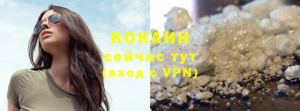 PSILOCYBIN Волосово