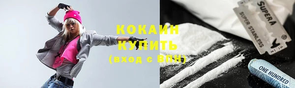 PSILOCYBIN Волосово