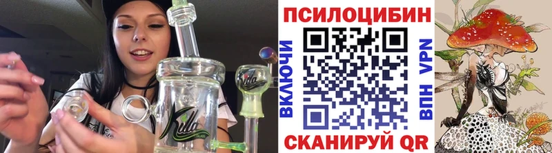 Псилоцибиновые грибы Psilocybe  Ермолино 
